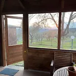Sei Cipressi Impruneta