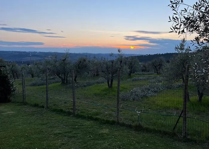 Sei Cipressi 3* إمبرونيتا