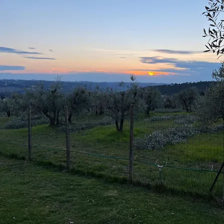 Sei Cipressi * Impruneta