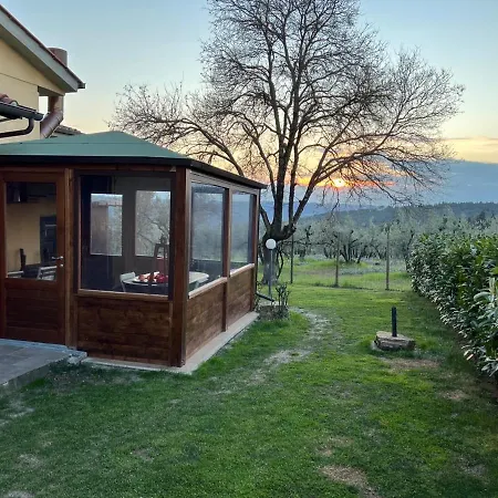 Bed & Breakfast Sei Cipressi