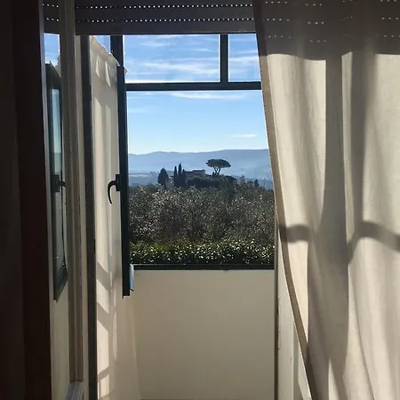 Sei Cipressi * Impruneta