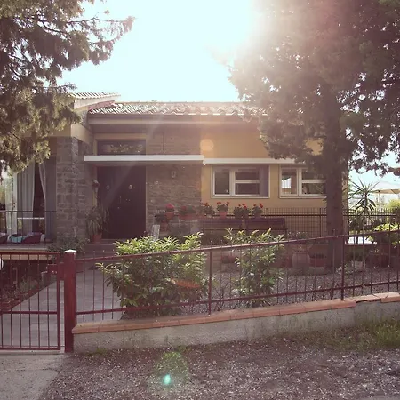 Sei Cipressi *