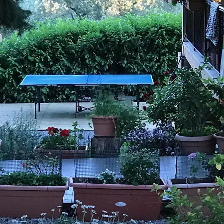 Sei Cipressi Bed & Breakfast *