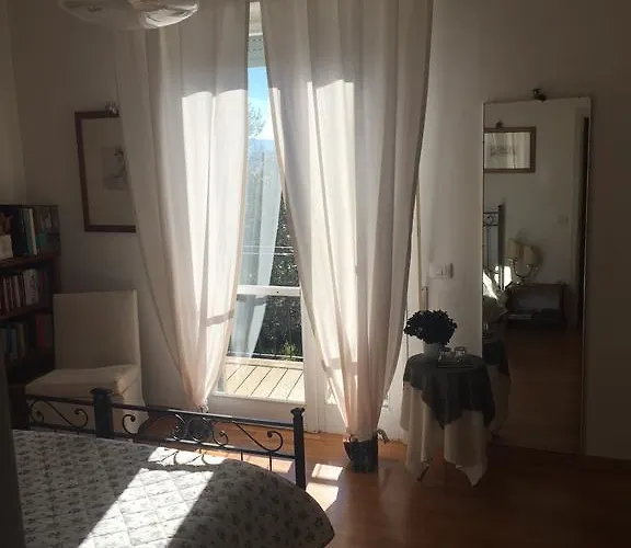 Sei Cipressi Impruneta