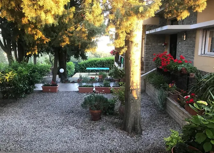 Sei Cipressi Impruneta