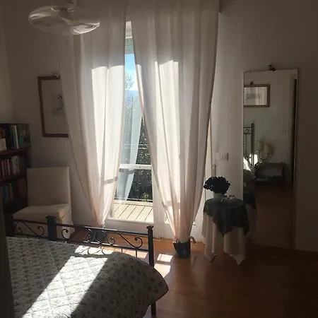 Sei Cipressi Impruneta